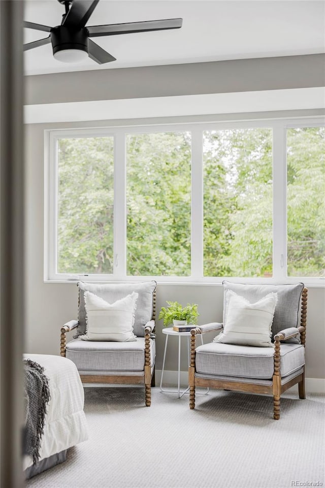 1541 Glencoe St, Denver, CO 80220 - view of sunroom / solarium