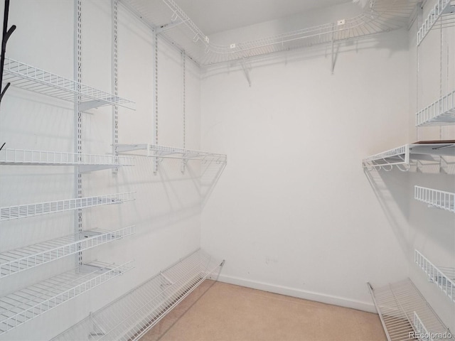 3855 Canyon Ranch Rd Unit 104, Highlands Ranch, CO 80126 - walk in closet with light carpet
