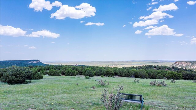 254 Sunset Ct, Walsenburg, CO 81089 - photo 49