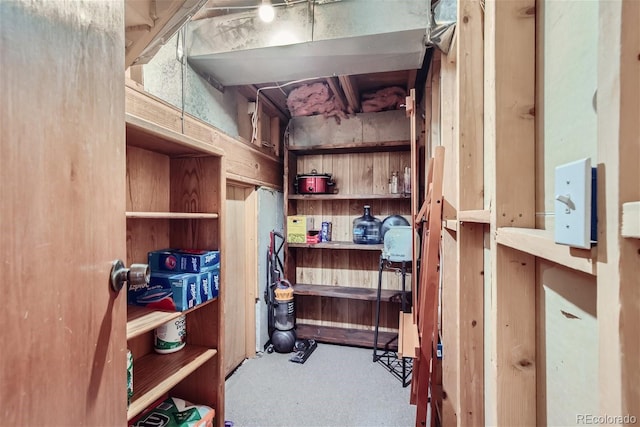 6057 S Pierson St, Littleton, CO 80127 - view of storage area