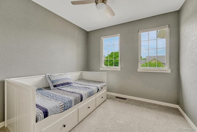 15886 E Stargazer Ln, Parker, CO 80134 - photo 24