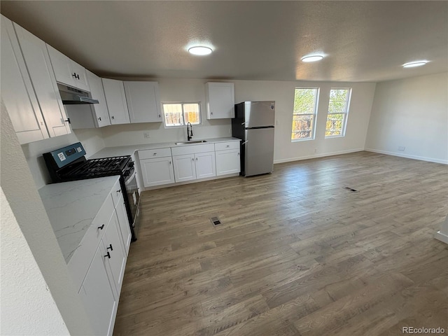 9036 Mandel St, Denver, CO 80260 - kitchen with appliances with stainless steel finishes, under cabinet range hood, a sink, and light wood finished floors