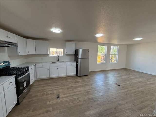 9036 Mandel St, Denver, CO 80260 - kitchen featuring appliances with stainless steel finishes, under cabinet range hood, a sink, light countertops, and light wood-style floors