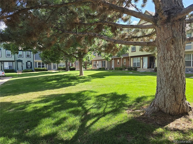 14232 E Hawaii Cir Unit A, Aurora, CO 80012 - view of green lawn