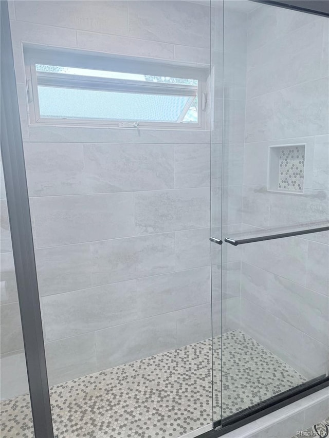 16796 E Union Ave, Aurora, CO 80015 - full bath featuring a shower stall