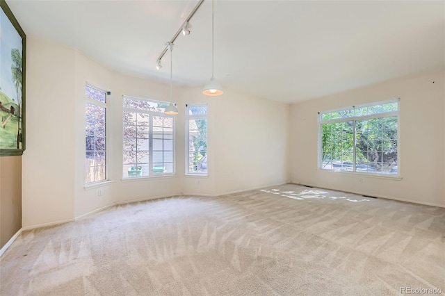 1730 Pear Ct, Brighton, CO 80601 - carpeted spare room with healthy amount of natural light and track lighting