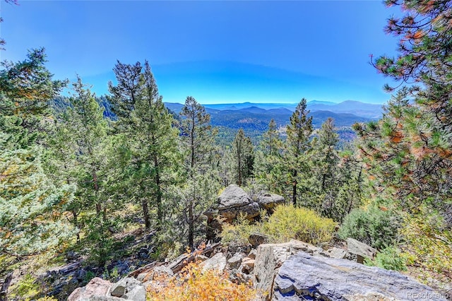 11723 Braun Way, Conifer CO, 80433 land for sale