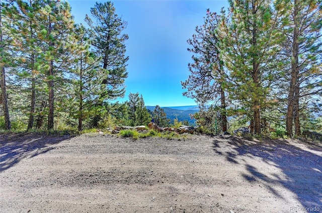 Listing photo 3 for 11723 Braun Way, Conifer CO 80433