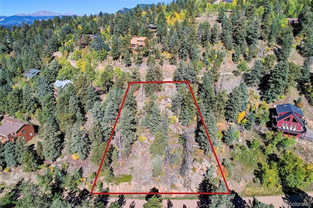 11723 Braun Way, Conifer, CO 80433