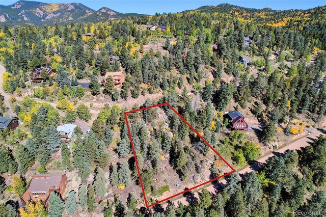 11723 Braun Way, Conifer, CO 80433