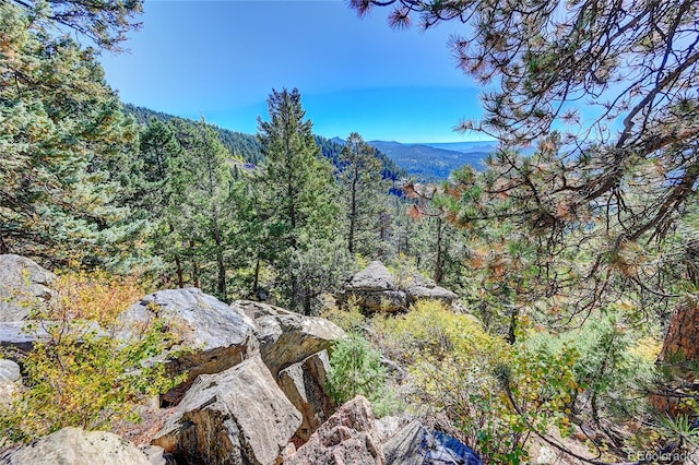11723 Braun Way, Conifer, CO 80433