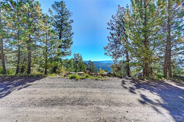 11723 Braun Way, Conifer, CO 80433
