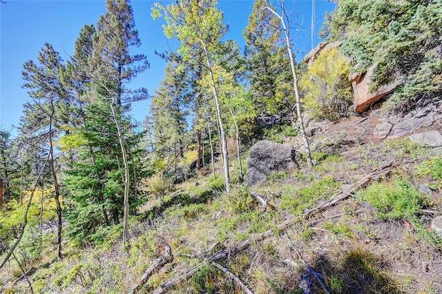 11723 Braun Way, Conifer, CO 80433
