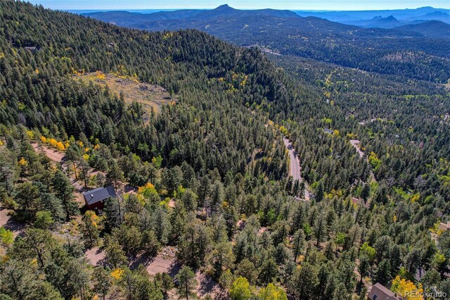 11723 Braun Way, Conifer, CO 80433