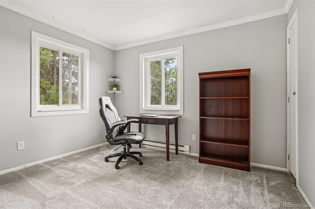 150 Cedar Rd, Evergreen, CO 80439 - home office featuring plenty of natural light, carpet, crown molding, and baseboard heating