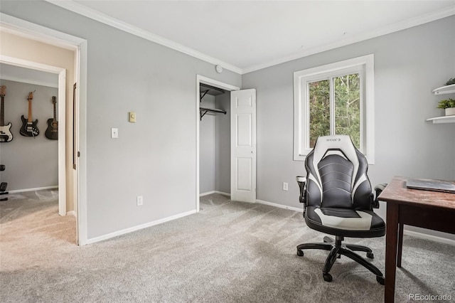 150 Cedar Rd, Evergreen, CO 80439 - carpeted office space featuring crown molding and baseboards
