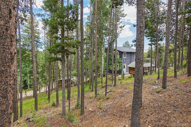 150 Cedar Rd, Evergreen, CO 80439 - view of yard