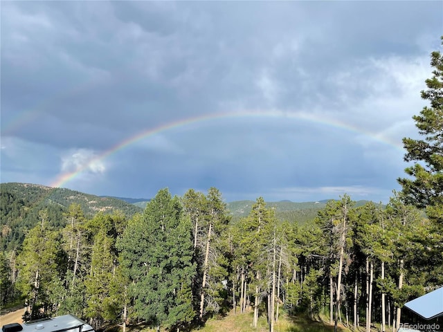 150 Cedar Rd, Evergreen, CO 80439 - view of mountain backdrop featuring a forest