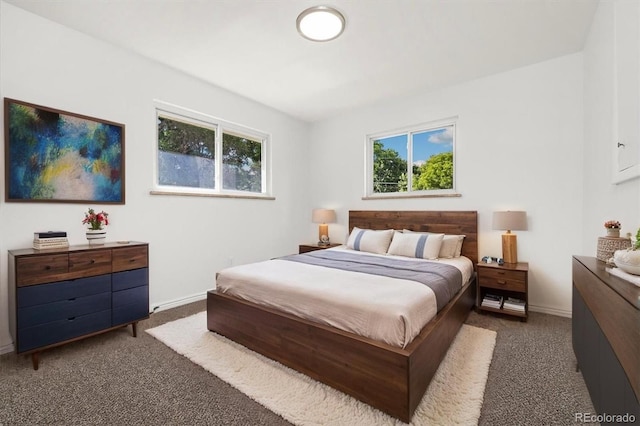 5193 Zinnia St, Arvada, CO 80002 - carpeted bedroom with multiple windows