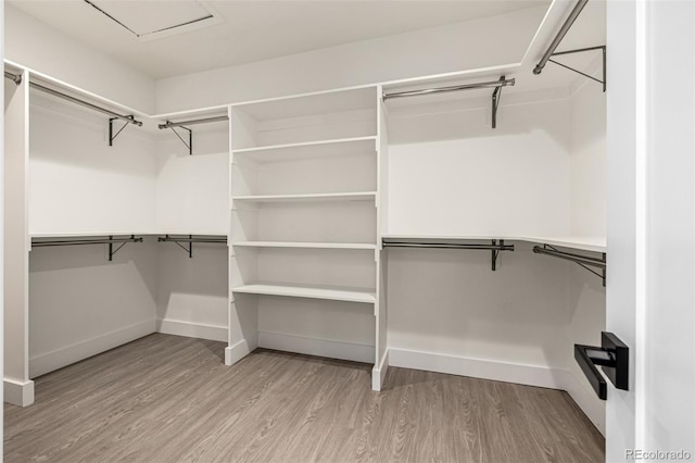 5401 E Dakota Ave Unit 22, Denver, CO 80246 - walk in closet featuring wood finished floors
