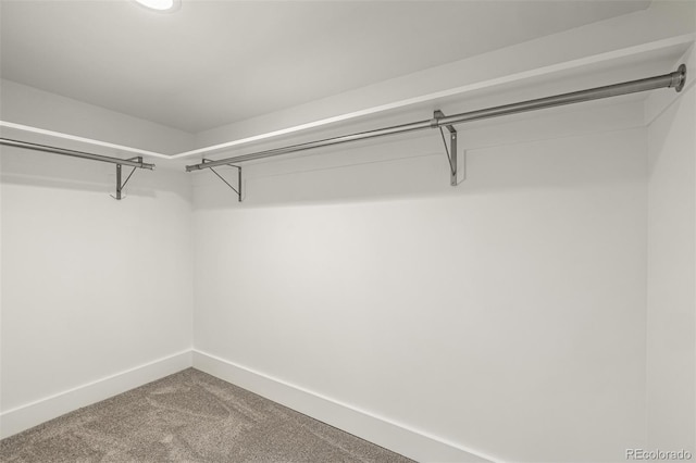 5401 E Dakota Ave Unit 22, Denver, CO 80246 - walk in closet featuring carpet