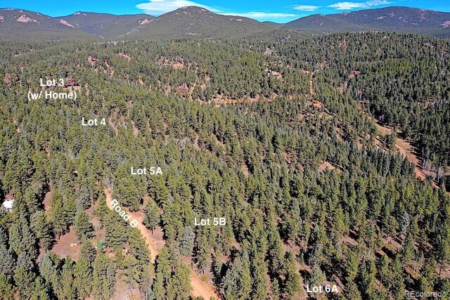 2137 Hidden Valley Blvd, Pine, CO 80470 - photo 2