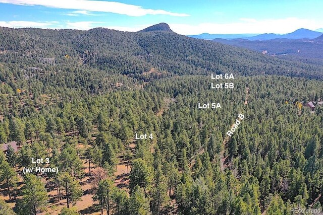 2137 Hidden Valley Blvd, Pine, CO 80470 - photo 6