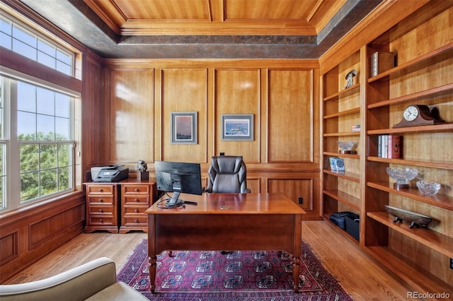 office featuring crown molding, a wealth of natural light, and light hardwood / wood-style flooring