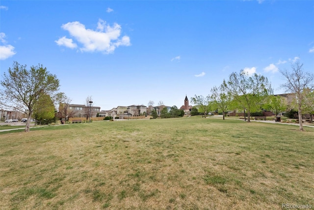 view of yard