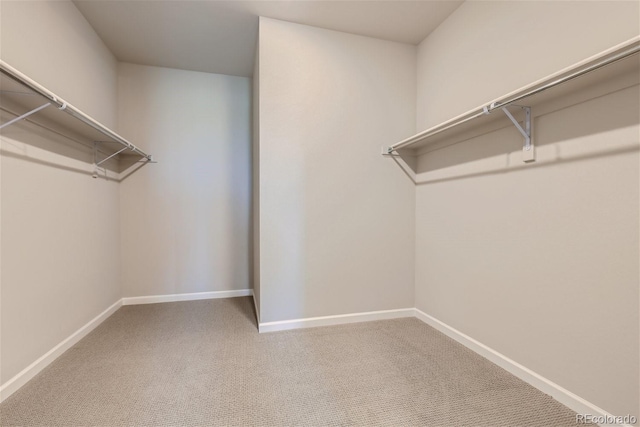 spacious closet featuring carpet flooring