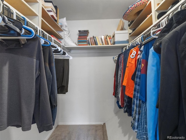 spacious closet featuring carpet