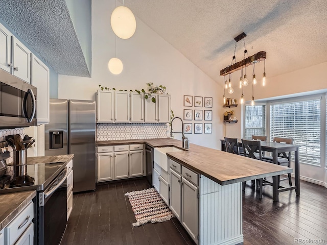 kitchen with butcher block countertops, decorative light fixtures, dark hardwood / wood-style flooring, and appliances with stainless steel finishes