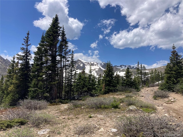 855 Eldorado Ave, Nederland, CO 80466 - photo 50