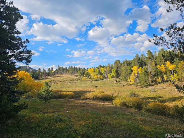 10858 Norton Ave, Conifer, CO 80433 - view of landscape featuring a view of trees