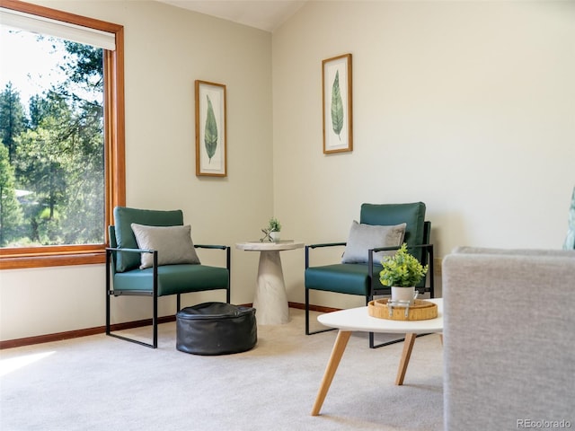 10858 Norton Ave, Conifer, CO 80433 - sitting room with carpet flooring and baseboards
