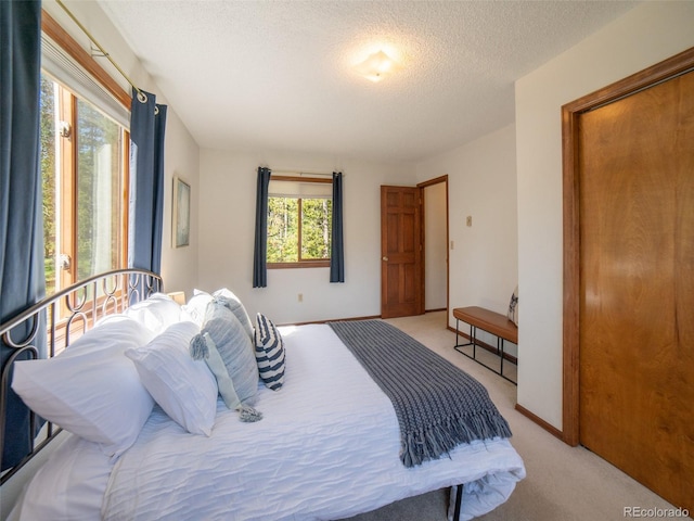 10858 Norton Ave, Conifer, CO 80433 - bedroom with multiple windows, light carpet, and a textured ceiling