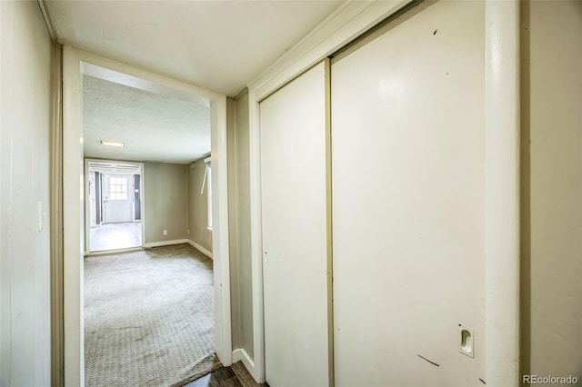 524 N 4th Ave, Sterling, CO 80751 - hallway featuring carpet flooring