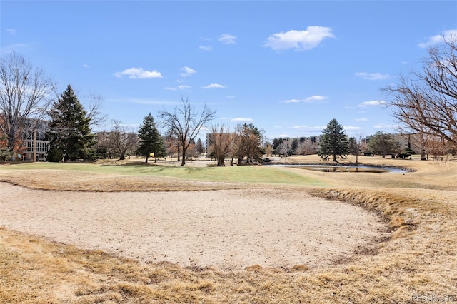 view of home's community featuring a yard