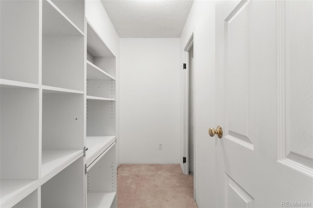 spacious closet featuring light colored carpet