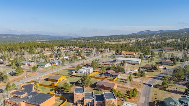 920 Forest Edge Rd, Woodland Park, CO 80863 - photo 29