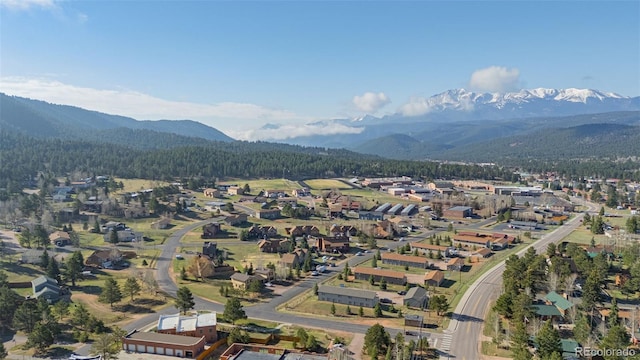 920 Forest Edge Rd, Woodland Park, CO 80863 - photo 32