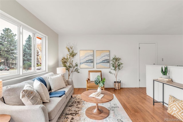 living room featuring light wood-type flooring