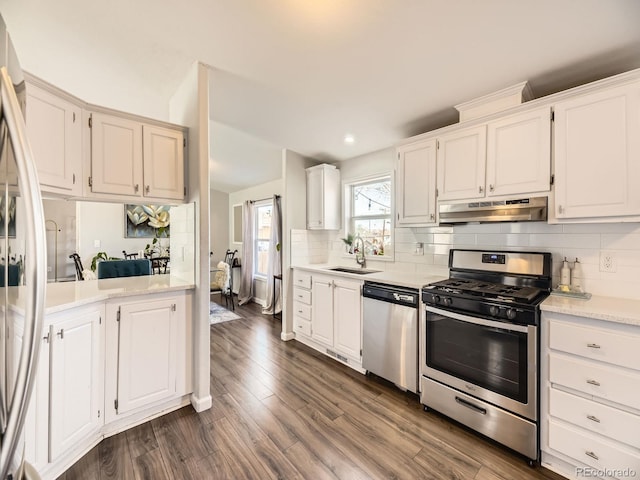 kitchen featuring under cabinet range hood, a sink, light countertops, appliances with stainless steel finishes, and tasteful backsplash