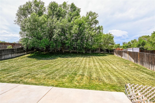 7242 Coral Ridge Dr, Colorado Springs, CO 80925 - photo 15
