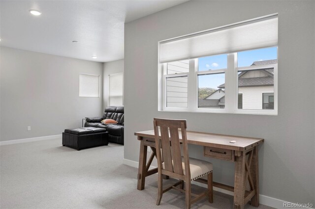 7040 Homeplace St, Castle Rock, CO 80108 - photo 20