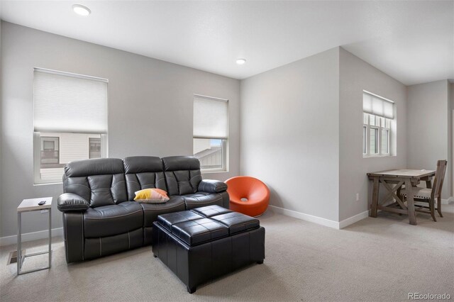 7040 Homeplace St, Castle Rock, CO 80108 - photo 22