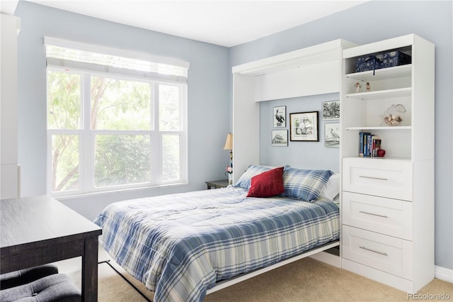 111 S Monroe St Unit B106, Denver, CO 80209 - bedroom with light colored carpet