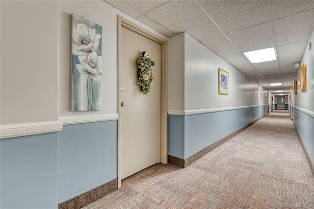 hallway with a drop ceiling and carpet flooring