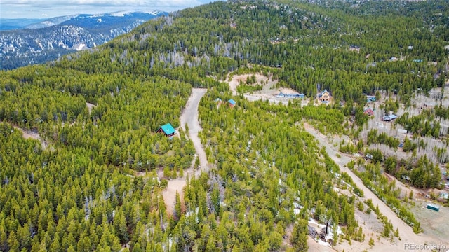 Eva Rd, Idaho Springs, CO 80452