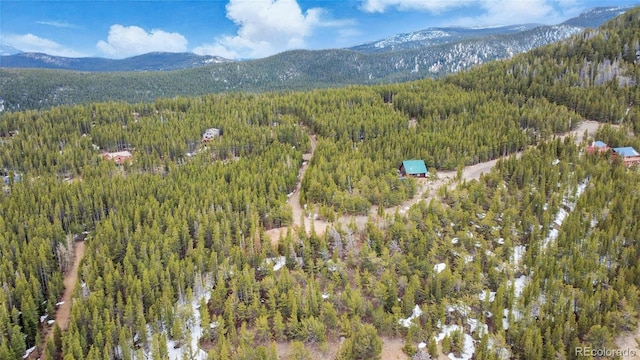 Eva Rd, Idaho Springs, CO 80452